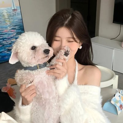 迷蝶